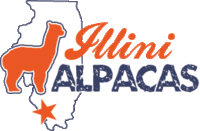 Illini Alpacas - Logo