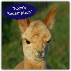 Roxy's Redemption (Girl)