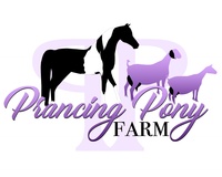 Prancing Pony Farm - Logo