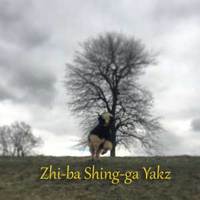 Zhi-ba Shing-ga Yaks - Logo