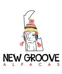 New Groove Alpacas - Logo