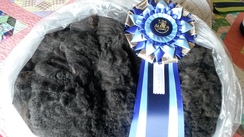 Photo of Fleece Show and Spin-off Preparation