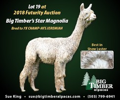 Star Magnolia-sold in 2018