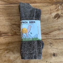 Backpaca Socks