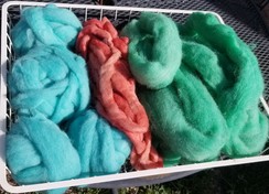 Photo of More Hand Dyed Roving