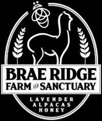Brae Ridge Farm and Sanctuary - Logo