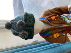 Photo of Hand made hats