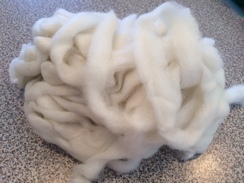 Photo of Roving-natural cream alpaca Fine