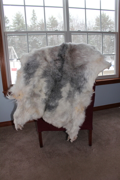 Decorative, stylish goat pelts rugs or throws for any occasion