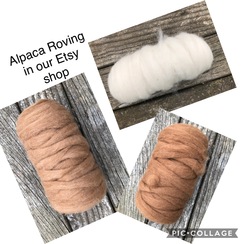 Photo of Pin Drafted Roving