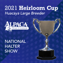 Alpaca Country Estates Won the 2021 AOA Heirloom Breeder Cup