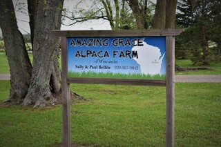 Amazing Grace Alpaca Farm - Logo