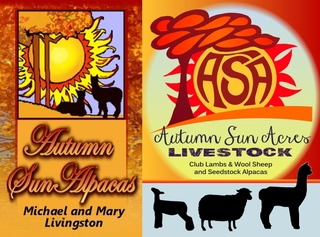 Autumn Sun Alpacas at Autumn Sun Acres - Logo