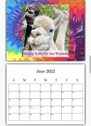  Alpaca 2022  Calendar