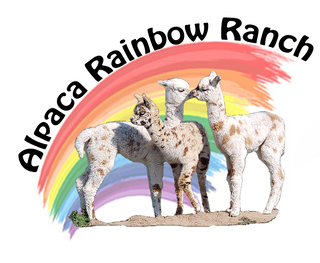 Alpaca Rainbow Ranch - Logo