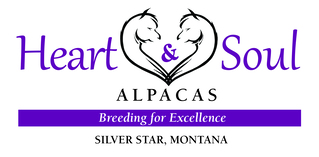 Heart & Soul Alpacas and Guest Cabins - Logo