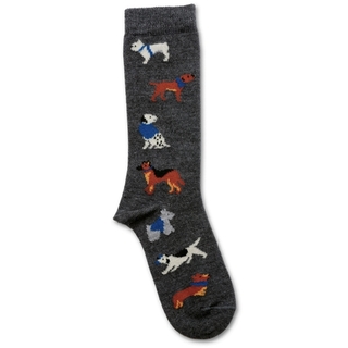 Photo of Dog Socks