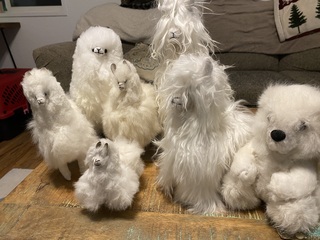 Alpaca stuffed animals