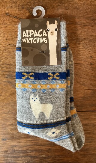Alpaca Watching Kids Socks