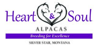 Heart & Soul Alpacas and Guest Cabins - Logo
