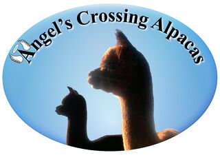 Angel's Crossing Alpacas - Logo