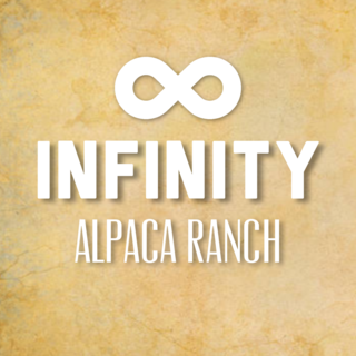 Infinity Alpaca Ranch, LLC - Logo