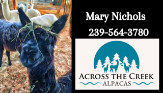 Across The Creek Alpacas - Logo