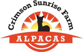Crimson Sunrise Farm Alpacas - Logo