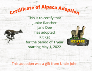 Adopt An Alpaca