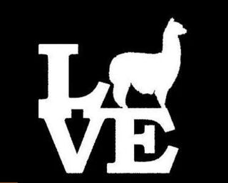 Alpaca Love Vinyl Window Sticker