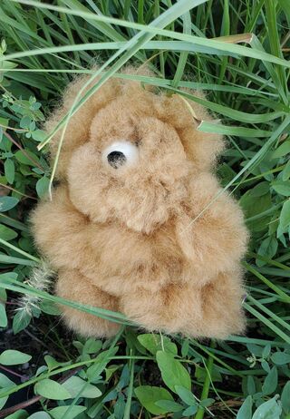 Pocket Teddy Bears