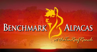 BENCHMARK ALPACAS at the Tin Roof Ranch - Logo