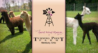 Turning Point Farm - Logo