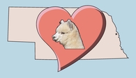 Alpacas of the Heartland LLC - Logo