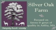 Silver Oak Farm - Logo