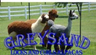 Greysand Alpacas - Logo