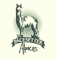 Pacesetter Alpacas - Logo