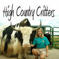 High Country Critters goat farm 'branding'