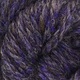 Smoke Bush (purple)